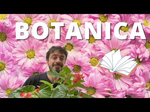 Video: Cosa posso fare come botanico?