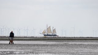 Urlaub Cuxhaven  mit Helgoland, Basstölpel, Zoo, Hagenbeck, Wattwagen by I Bins 314 views 1 year ago 12 minutes, 3 seconds