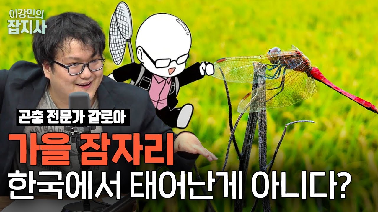 가을 잠자리는 한국에서 태어난 게 아니다? 그럼 대체 어디서 옴???