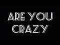 Are you crazy // lyric video