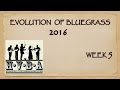 Evolution of Bluegrass 2016 - Week 5