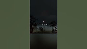 القارئ محمد اللحيدان(والله يريد أن يتوب عليكم) Reader Mohammed Al-Luhaidan