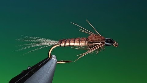 Fly tying for Beginners Copper Nymph with Barry Ord Clarke