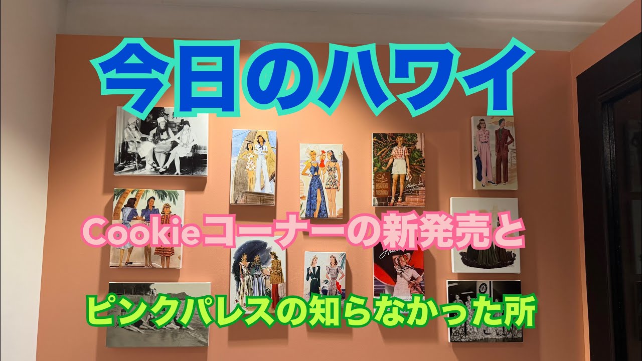 Hawaii Today] Checking out the new merch at The Cookie Corner and