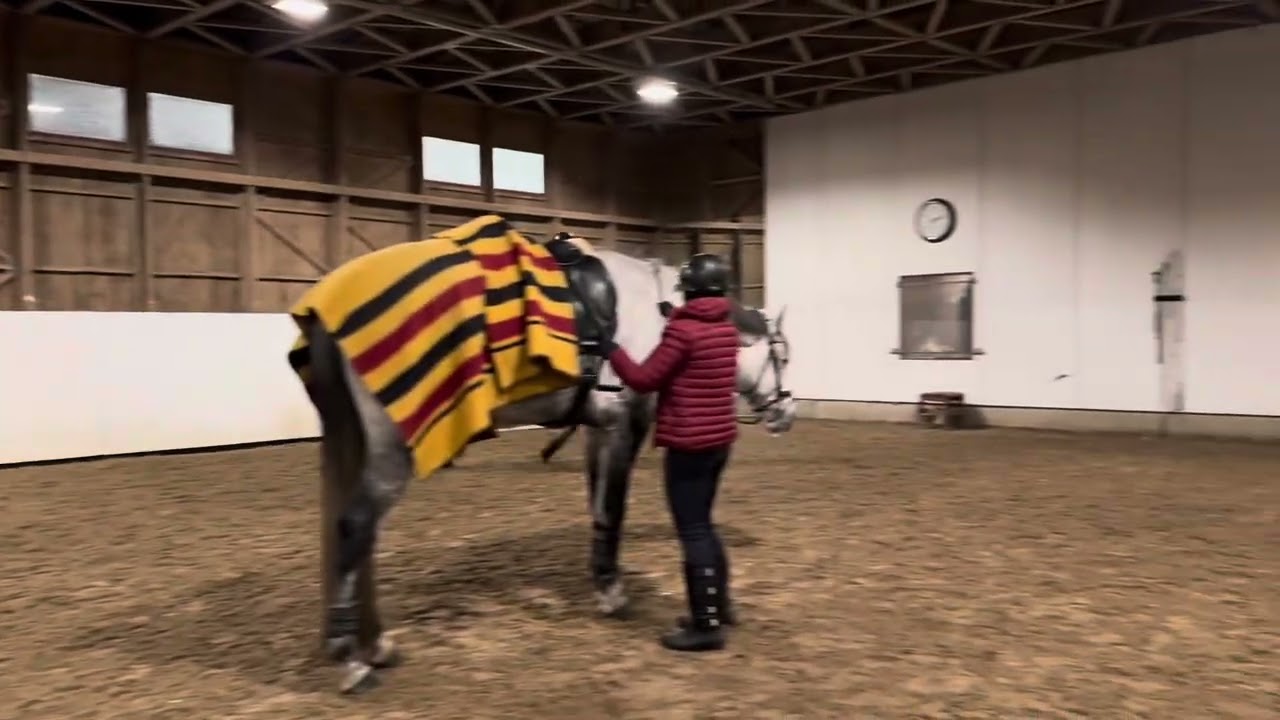 MS Papu - @stallfrasibäck