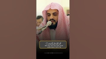 سورة الفجر | القارئ رعد محمد الكردي
