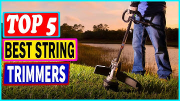 Top 5 Best String Trimmers in 2022 – Review