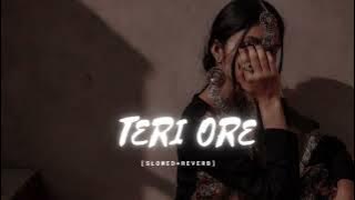 Teri Ore | Singh Is Kinng  [SLOWED REVERB]