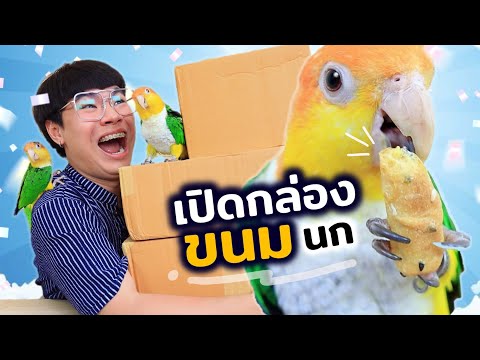 เปิดกล่องขนมนก กับสองป่วนฮานอย ฮอยอัน!!