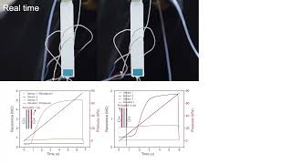 Sensorized soft actuators for internal stimuli perception screenshot 4