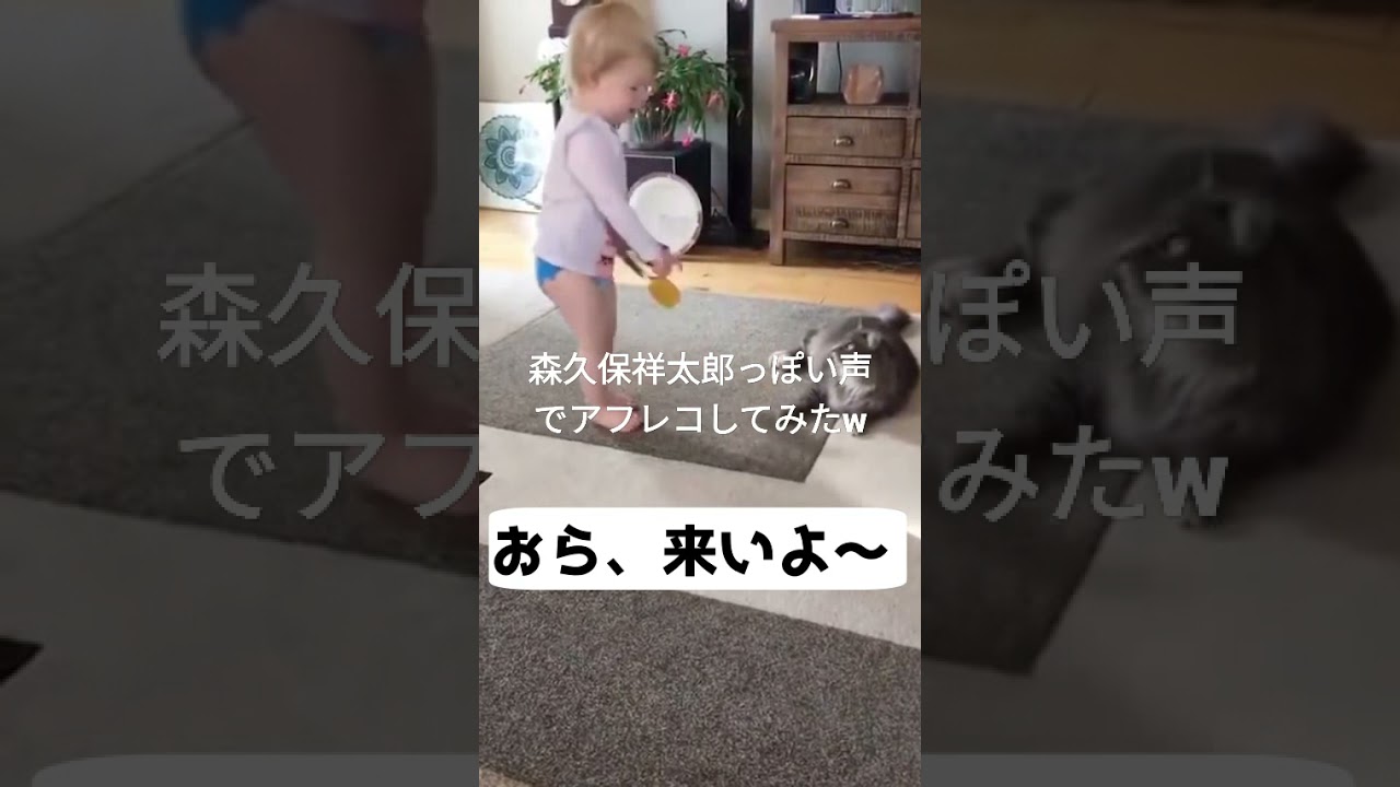 森久保祥太郎が猫に喧嘩をうってビビるw Youtube