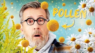 Pollen : pourquoi est-on aussi allergique ?