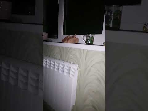адад - YouTube