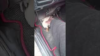 Man Tries to Pull Chicken Out of Car Footwell But It Refuses to Come Out