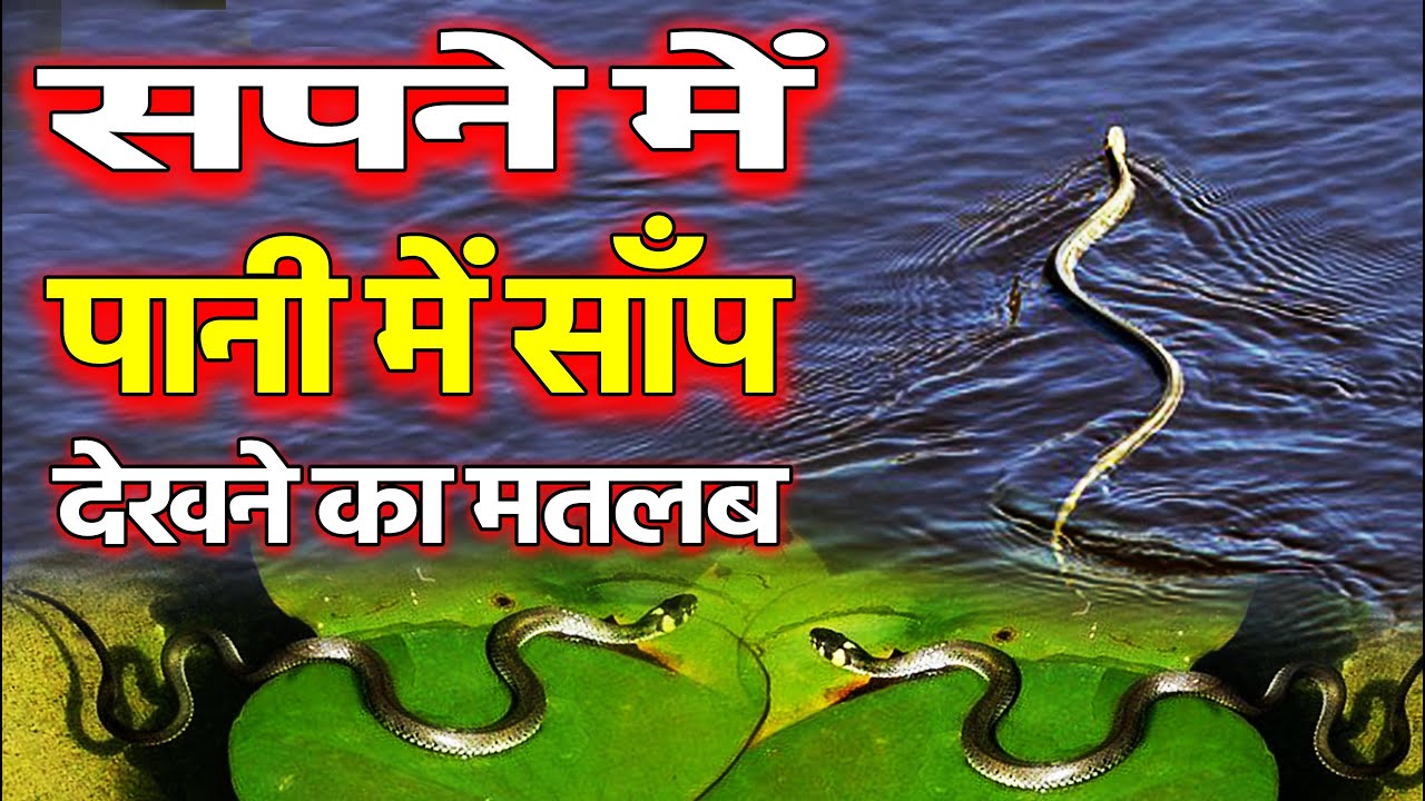 Sapne me pani me saap dekhna seeing snake in water saap ko pani me