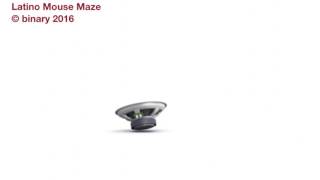 Latino Mouse Maze