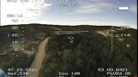 Shakey Eagle Tree OSD