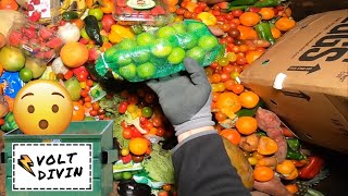 Dumpster Diving For Free Food Must See! S2E9