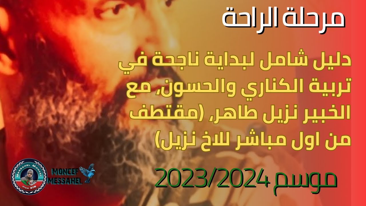 دليل شامل لبداية ناجحة في تربية الكناري والحسون، مع الخبير نزيل طاهر (مقتطف من اول مباشر للاخ نزيل)