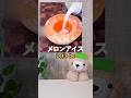 海外で話題のメロンアイスになってみた