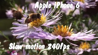 ► Apple iPhone 6 Slow Motion 240fps & 500fps with SloPro ◄