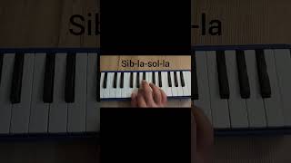 Güzel Yurdum Şarkısı Melodika