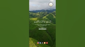 القارئ بندر نعمان #انشروا_القران #quran #حالات_واتس