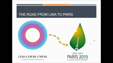 Learning Session 38: Expectations for forests and the land sector at COP21