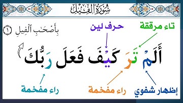 سورة الفيل || د. أيمن سويد ||  قراءة المنهجية 