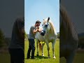 الحصان وقع في حفره كلها نمل Shorts الحصان وقع في حفره كلها نمل Shorts