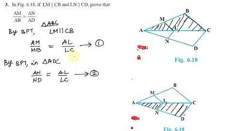 Triangles Exercise 6.2 Q 3 in Tamil | Class 10 Maths in Tamil | CBSE NCERT Mathematics in Tamil