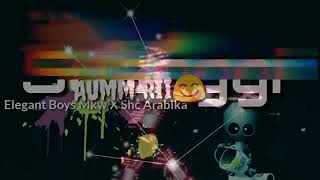 Lagu Acara Terbaru 2019 (SUANGGI)Elegant Boys Manokwari