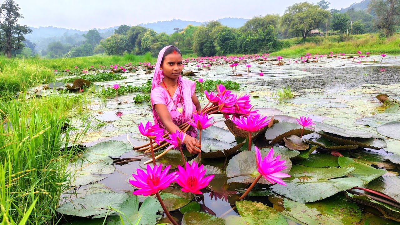 Unique Lotus Flowers Recipe || The Traditional Recipe on Water || very Delicious and Helthy Recipe 