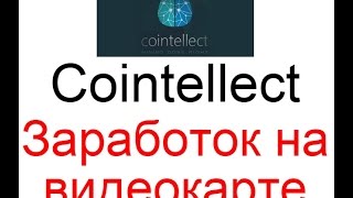 Cointellect - заработок на видеокарте без вложений