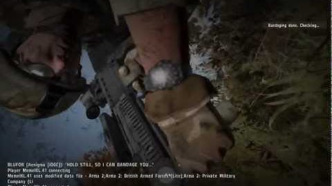 Project Reality: ARMA II: First Impressions