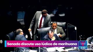 Senado discute el uso lúdico de la marihuana | Noticias con Yuriria Sierra