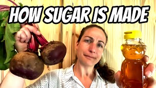 Making Sugar At Home  Beets, Honey, Sorghum & Maple Sugar