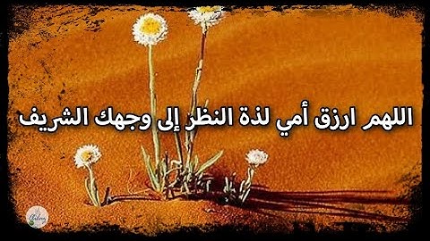 سورة لقمان من الآية ١ إلى الآية ١٠
