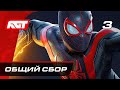 Прохождение Spider-Man: Miles Morales — Часть 3: Общий сбор