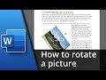 How to rotate a picture in Word | Rotate image in Word ✅ Tutorial