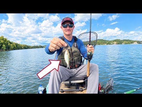 I Unlocked an Unorthodox Catfishing Method That Changed Everything | Kayak Catfishing
