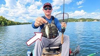 I Unlocked an Unorthodox Catfishing Method That Changed Everything | Kayak Catfishing