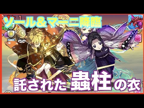【パズドラ】蟲柱の衣を纏いし善逸で対策ばっちし！ソール＆マーニ降臨攻略！