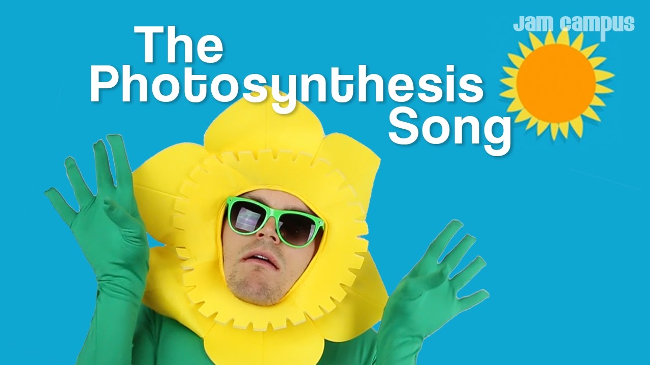 THE PHOTOSYNTHESIS SONG Parody of The Weeknd   Starboy