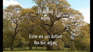 Algunas Palabras y frases en Turco - Aprenda Turco screenshot 3