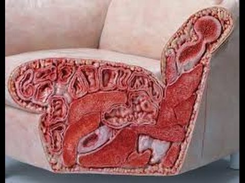 きもい動画 気持ち悪い イス がヤバ過ぎる Youtube