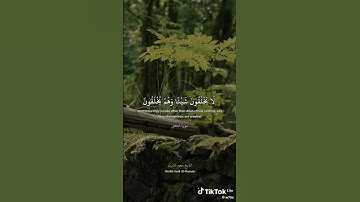 #القارئ #علي_جابر