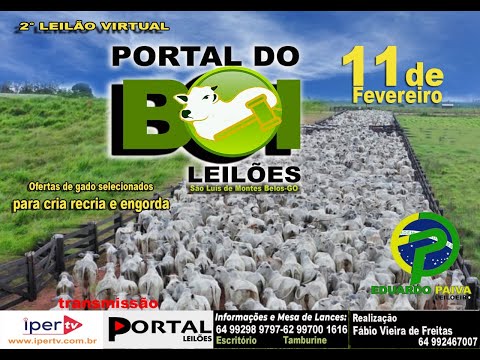 LEILÃO VIRTUAL GADO DE CORTE - PORTAL DO BOI LEILÕES