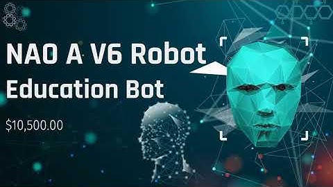 NAO V6 Robot 4 | Robotics Final Research Project | 8th Grade