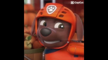 ⚠️FW⚠️ WASHING MACHINE HEART #edit #pawpatrol #zuma #washingmachineheart #mitski